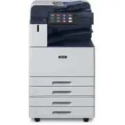 główny Altalink C8245/55 A3 C8202VF  095205044645