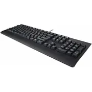 Lenovo Essential Wired  Black - German 129 4Y41R64647 195892116318
