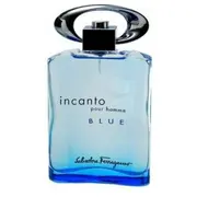 Salvatore Ferragamo Incanto Pour Homme Blue Edt 100 ml  8034097959554