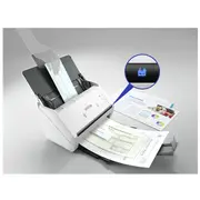 Skaner Epson Workforce Ds-530Ii B11B261401  8715946685908