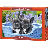 Castorland Puzzle 1000 French Bulldog Puppies Gxp-660916  5904438104246