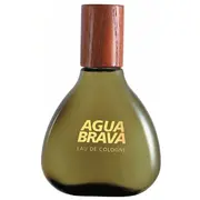 Antonio Puig Aqua Brava Edc 100 ml  78 8411061401705
