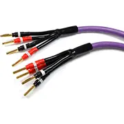 Kabel Melodika Banan x4 - 6M  05907609000415