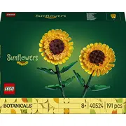 Lego  40524 5702018213650