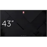 Monitor Avtek Ds 43 1Tv312  5907731318990