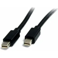 Kabel Startech Displayport Mini - 2M  Mdisp2M 0065030844567