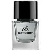 Burberry Mr. Edt spray 50Ml  3614229840117