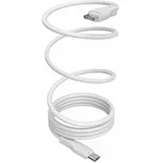 Kabel Usb Puro Usb-C - 1 m  8018417469923
