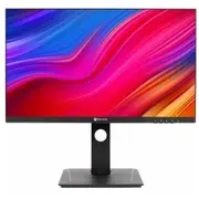 Monitor Ag Neovo Dw2401  4710739597691
