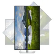Monitor Dell Pro Plus P3225Qe 210-Bqzy  884116487562