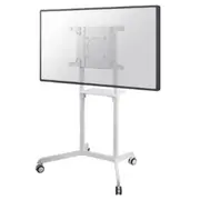 Neomounts  podłogowy Ns-M1250White 37 - 70 8717371448073