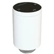 Salus  grzejnikowa termostatyczna M30 x 1,5 Trv10Rfm 2000000324241