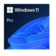 Software Microsoft Win 11 Pro Ggk 64Bit Eng Intl 1Pk Dsp Ort Oei Dvd Oem English 4Yr-00316  889842906684