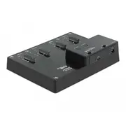 dokująca Delock  M.24 x M.2 Nvme Pcie Ssd klonowania 64124 4043619641246