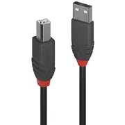 Kabel Usb Lindy Usb-A - Usb-B 10 m  36677 4002888366779