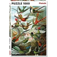 Piatnik Puzzle 1000 - Haeckel, Kolibry  373974 9001890552847