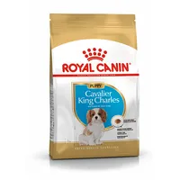 Royal Canin Bhn Cavalier King Charles  Puppy - dry puppy food 1.5Kg Dlzroyksp0028 3182550813051