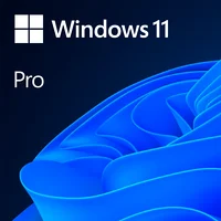 Microsoft Windows 11 Professional 64Bit English Intl 1Pk Dsp Oei Dvd  Fqc-10528