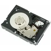 Dysk serwerowy Dell 2Tb 3.5 Sas-2 6Gb/S  1D9Nn 5712505255377