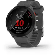 Garmin Forerunner 55 Mip 42 mm Digital 208 x pixels Touchscreen Grey Gps Satellite  010-02562-13 753759279660 Siagarzeg0389