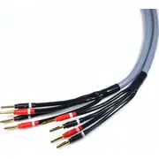 Kabel Melodika Banan x4 - 1.5M  05907609000422