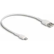 Kabel Usb Delock Usb-A - Lightning 0.3 m  87866 4043619878666
