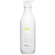 Milk Shake Argan Shampoo  z olejkiem arganowym 1000Ml 8032274052005