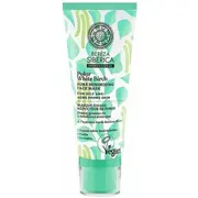 Siberica Professional Bereza krem do  cery tłustej i trądzikowej 100Ml 4743318147659