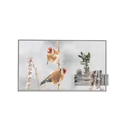 Telewizor Lg 55 Transpared Oled 55Ew5P with Onequick dongle included  55Ew5P-Mwdongle 2000001406229