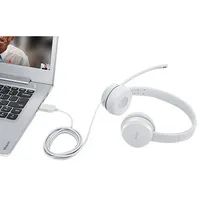 Lenovo Gxd1E71385 headphones/headset Wired Wrist Calls/Music Usb Type-A Grey  195892023814 Perlevslu0023