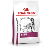 Royal Canin Renal 2 kg Adult  Amabezkar1454 3182550710992