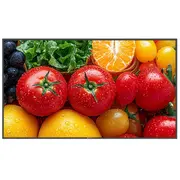 Ag Neovo Display 55 inch Qm-5503 4K 500Cd/M2 50001 Hdmi Usb-C Rj-45 Speakers 400X400  4710739598612 Ulagn055Lqm5503