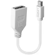 Av Lindy Displayport Mini -  41021 4002888410212