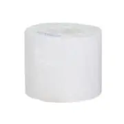 Epson Premium Matte Label - C33S045419  846194050045