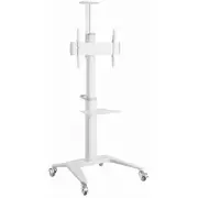 Gembird  pod telewizor 37-70 cali Tvs-70T-02-W 8716309128995