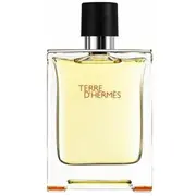 Hermès Terre dHermes Edt 200 ml  3346131402007 3346130013457