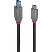 Kabel Usb Lindy Usb-C - Usb-B 3 m  36668 4002888366687