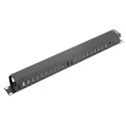 Lanberg Organizer  1U z zaślepką do szaf 19 Ak-1201-B 5901969403695