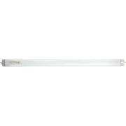 Noveen Świetlówka do lampy owadobójczej Los103-15W Ikn1030 Safety Tubes  5902221622359