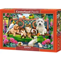 Castorland Puzzle 1000 Pets in the Park 341409  5904438104406