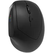 Canyon mouse Mw-25 Ergonomic Led Aa Dual mode Wireless Black  Cns-Cmsw25 5291485017965