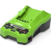 Greenworks  24V, 2A 6952909062853