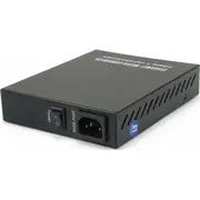 Konwerter wodowy Levelone Media Konverter Fvm-1000 FeSfp Managed  4015867195475