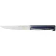 Opinel  Intempora Carving 220 002220 3123840022203