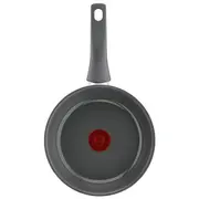 Tefal Renewal 24 cm  - cepsanai C4260443 3168430353190