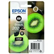 Tusz Epson C13T02H14010 202 Xl photo black  8715946646305