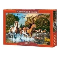 Castorland Puzzle 1000 Konie Castor  469899 5904438104789