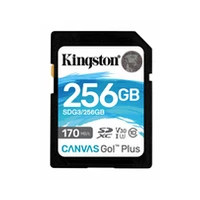 Kingston Canvas Go Plus 256Gb