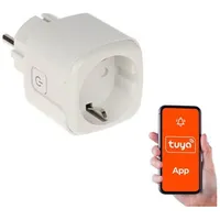 Smart Home Wifi Socket/Atlo-P1-Tuya Genway