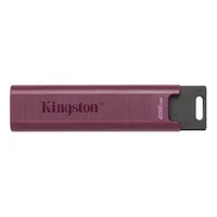 Kingston  Usb 3.2 Flash Drive Datatraveler Max 256 Gb